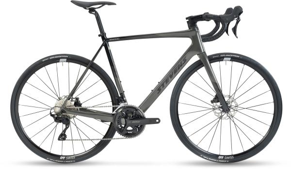 Stevens Izoard - Golden Grey - 50 cm